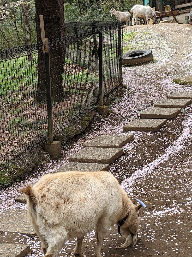 庚申山ミニ動物園