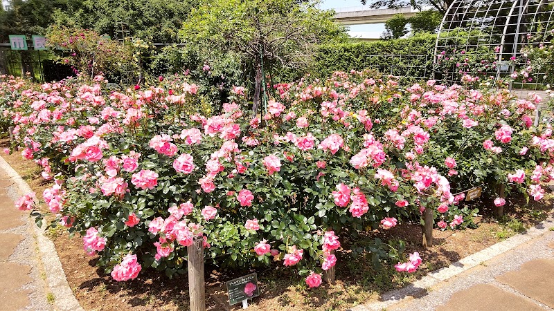 千葉市都市緑化植物園