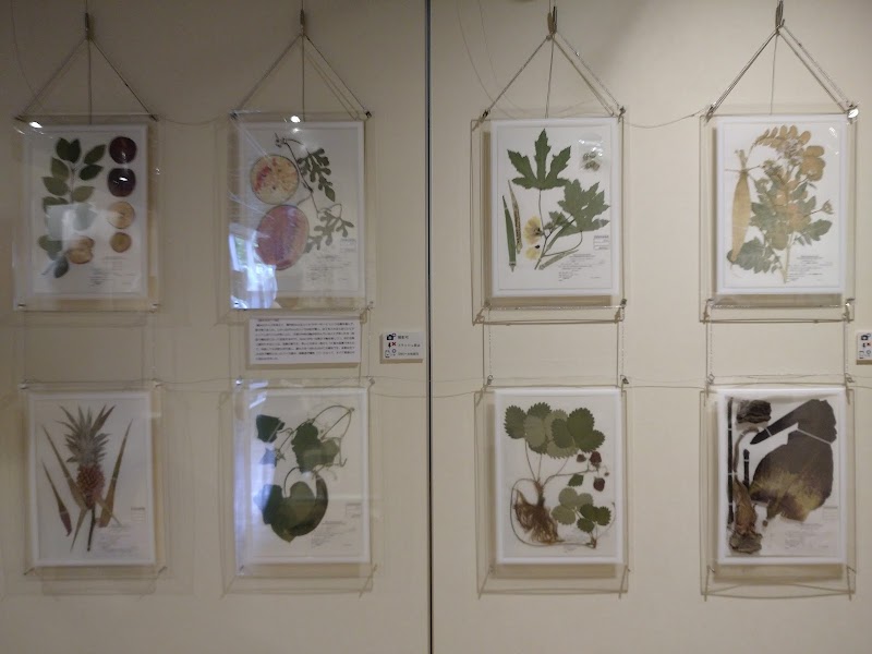 牧野標本館
