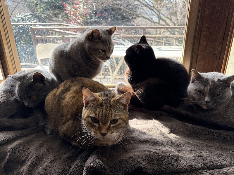 東筑波ユートピア