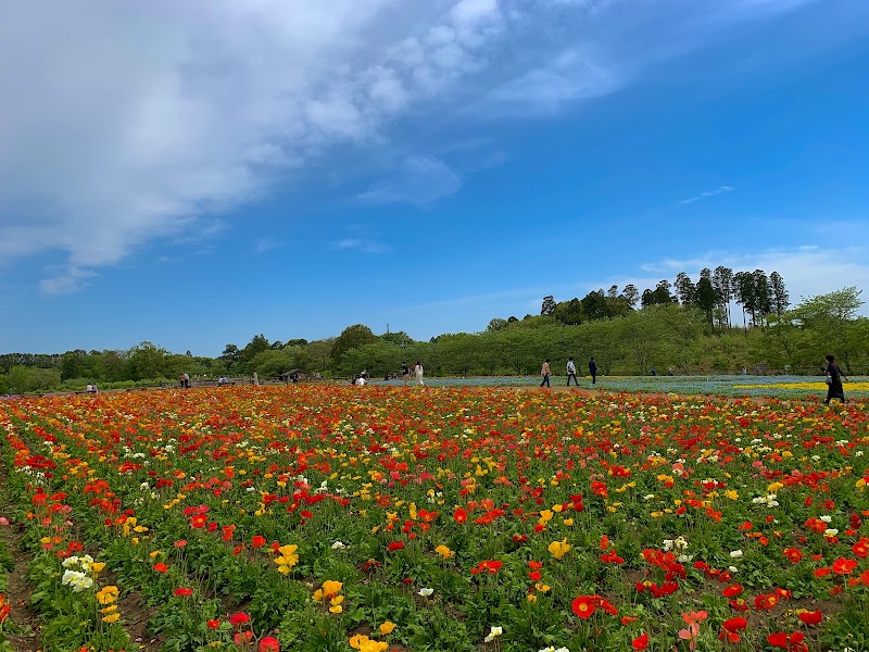 富田さとにわ耕園