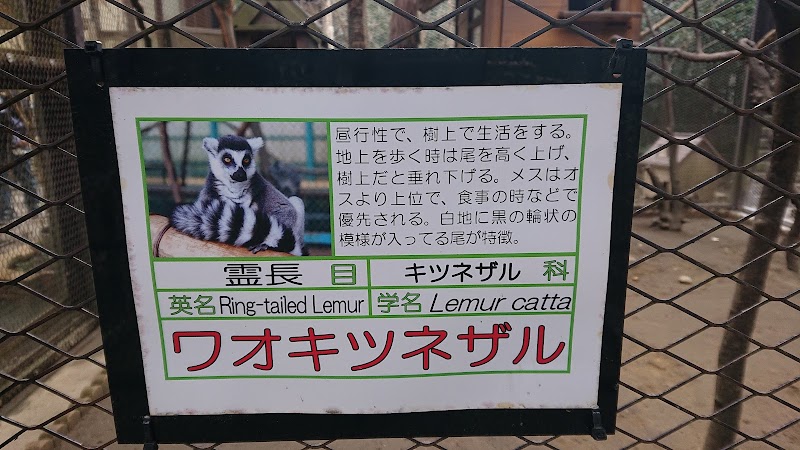 サユリワールド・市原ぞうの国～ANIMAL WONDER REZOURT～