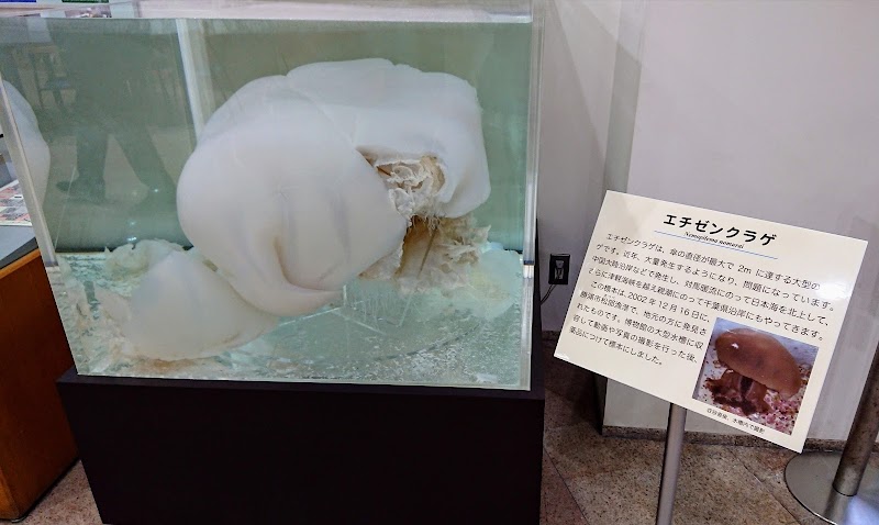 千葉県立中央博物館分館 海の博物館