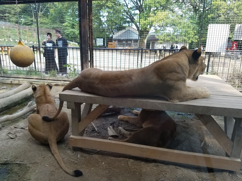 桐生が岡公園 水族館