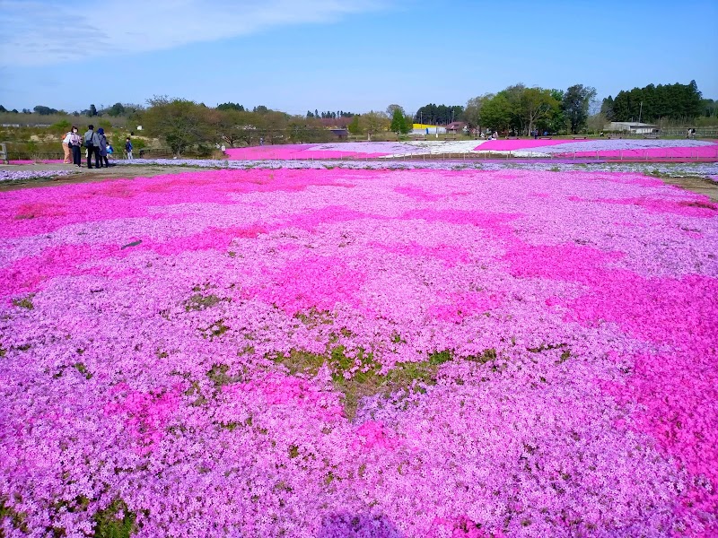 富田さとにわ耕園 の写真