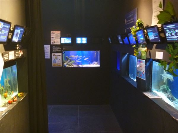 北里アクアリウムラボ の写真