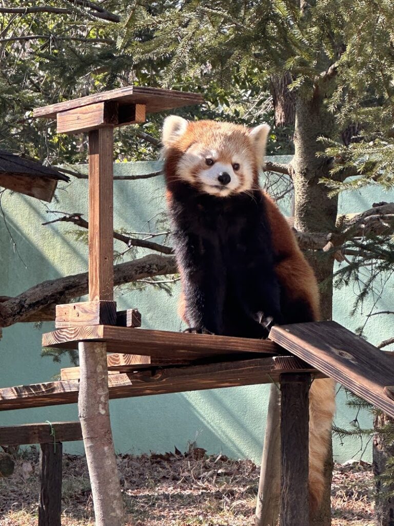 わくわくあにまるフィールド の写真