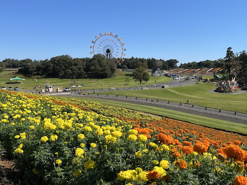 東京ドイツ村