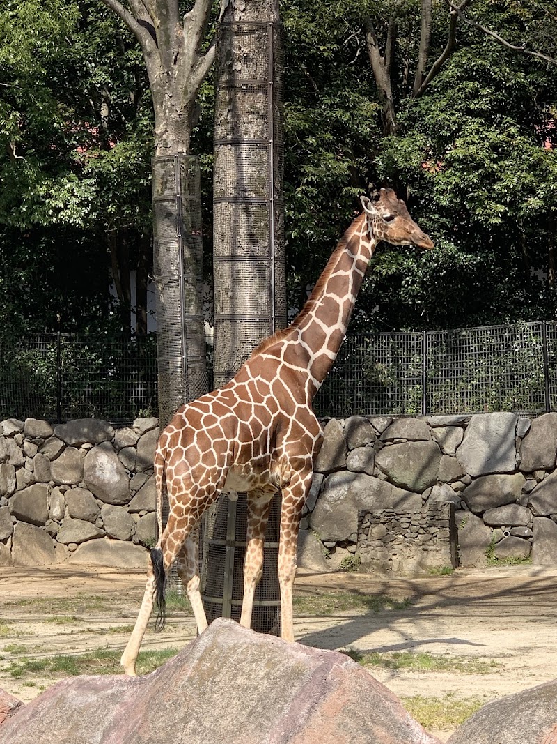 横浜市立金沢動物園