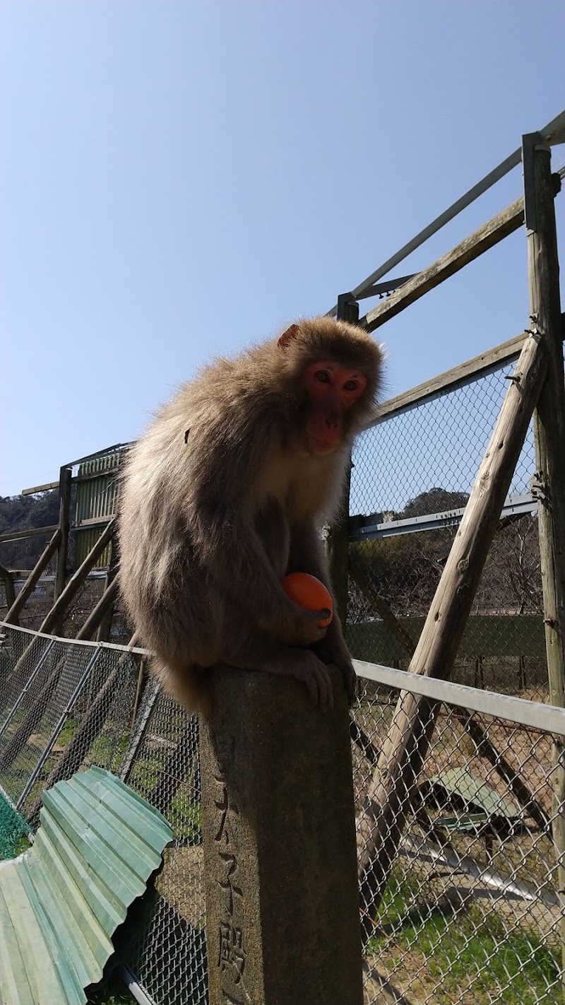 高宕山自然動物園