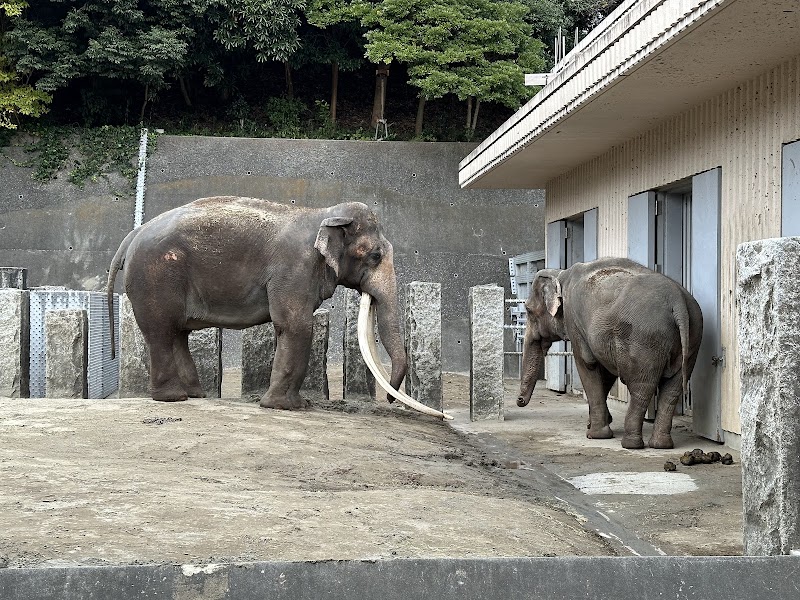 横浜市立金沢動物園