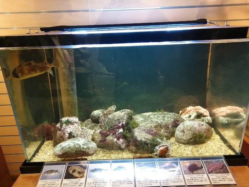 千葉県立中央博物館分館 海の博物館