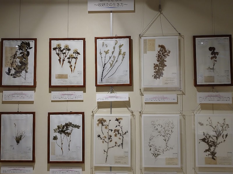 牧野標本館