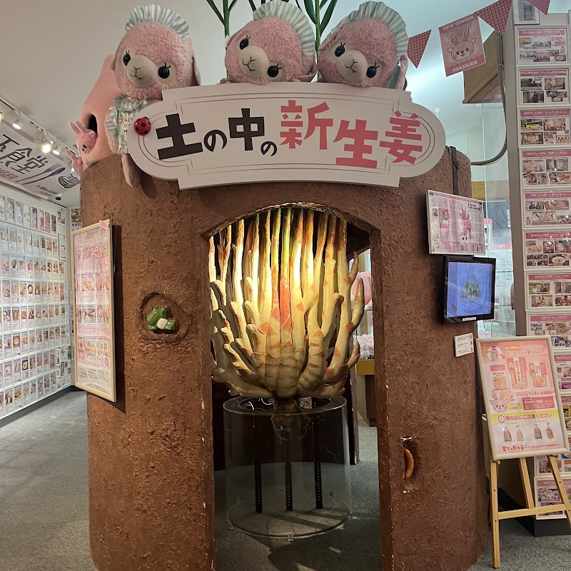 岩下の新生姜ミュージアム
