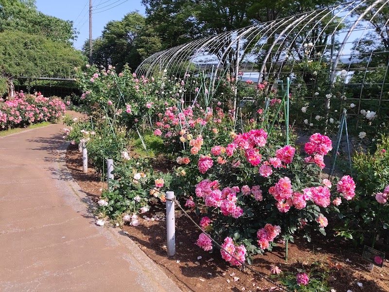 千葉市都市緑化植物園