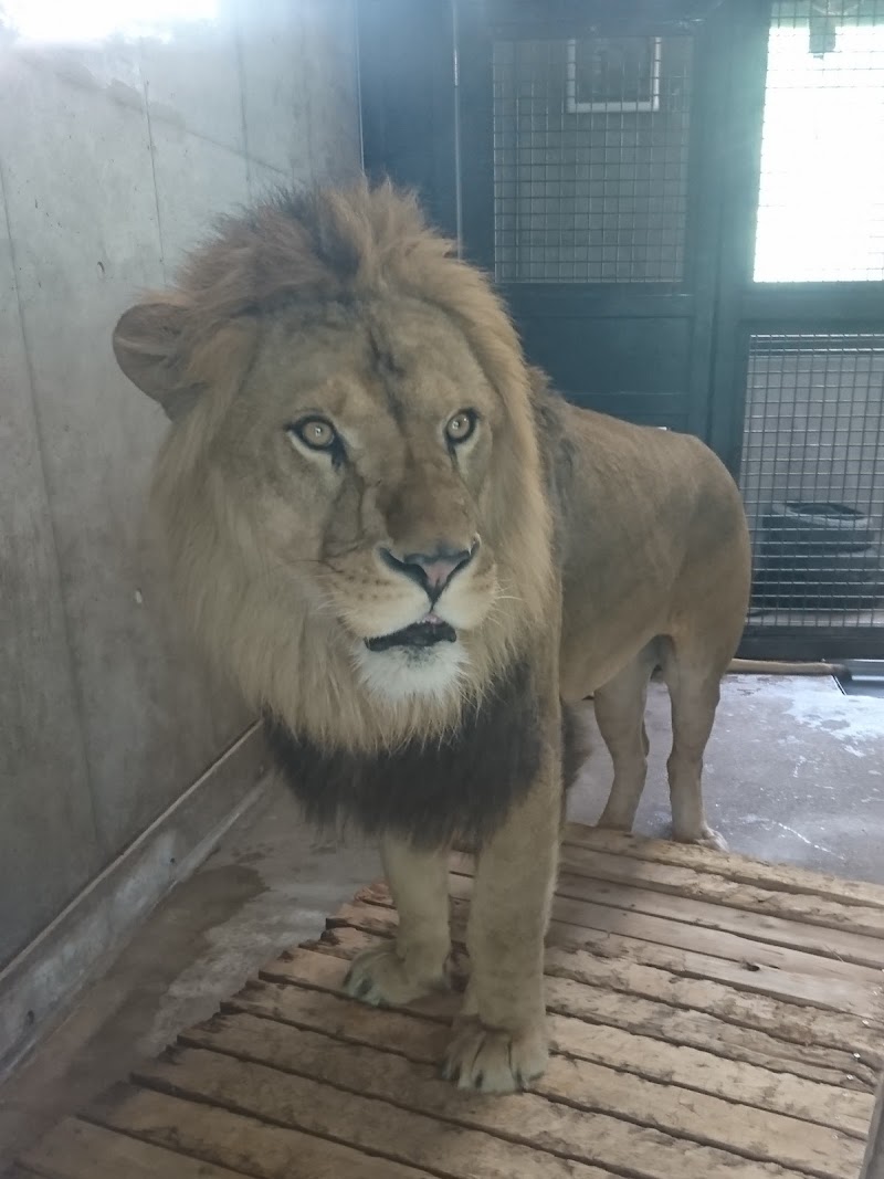 未来へはばたけ 山田製作所 桐生が岡動物園