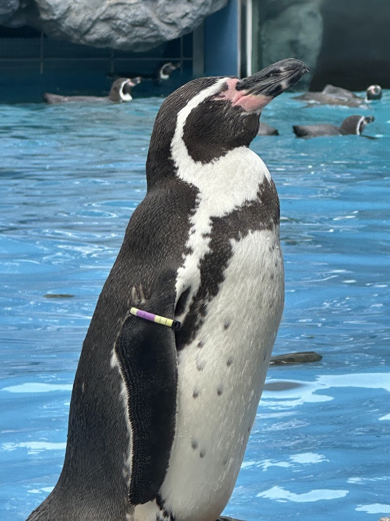 埼玉県こども動物自然公園