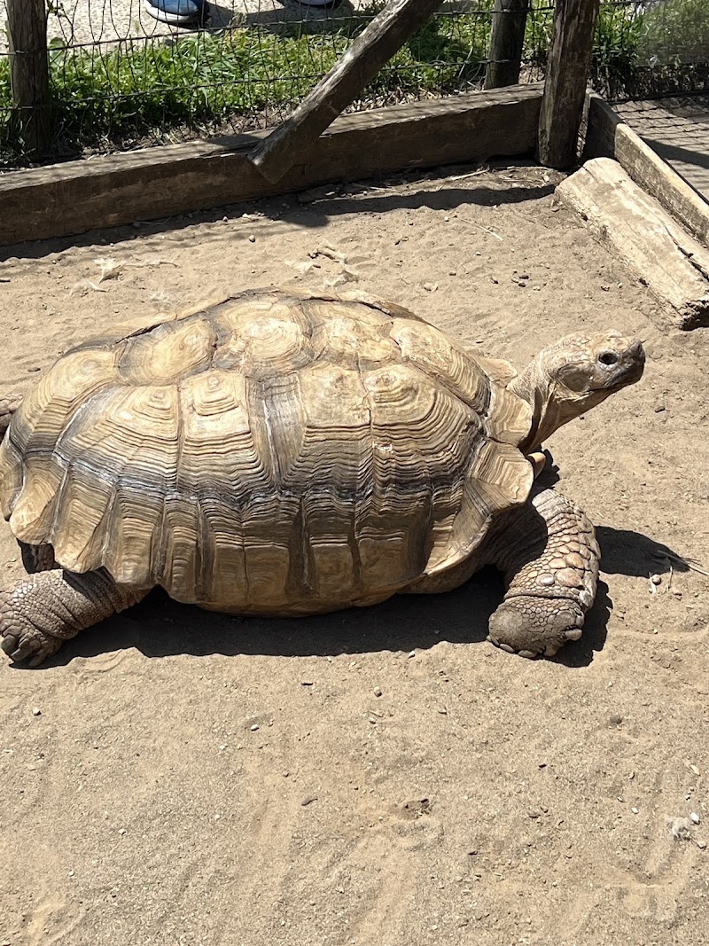 ふれあい牧場