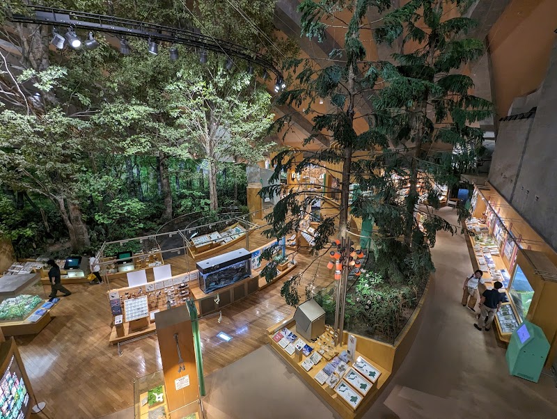 群馬県立自然史博物館