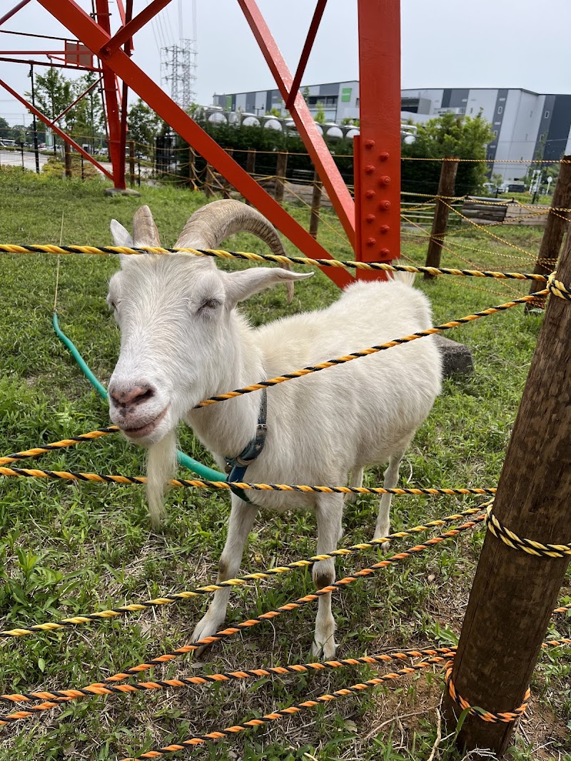 exstion 印西ふれあい牧場