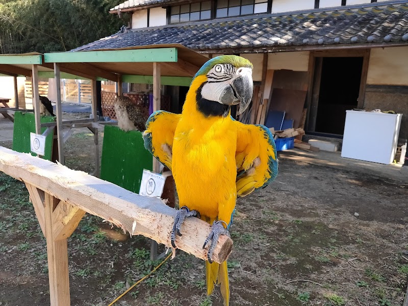 ふれあい動物園 ANIMA
