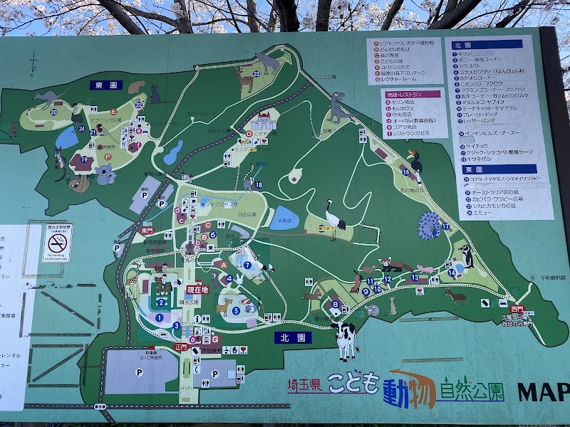 埼玉県こども動物自然公園