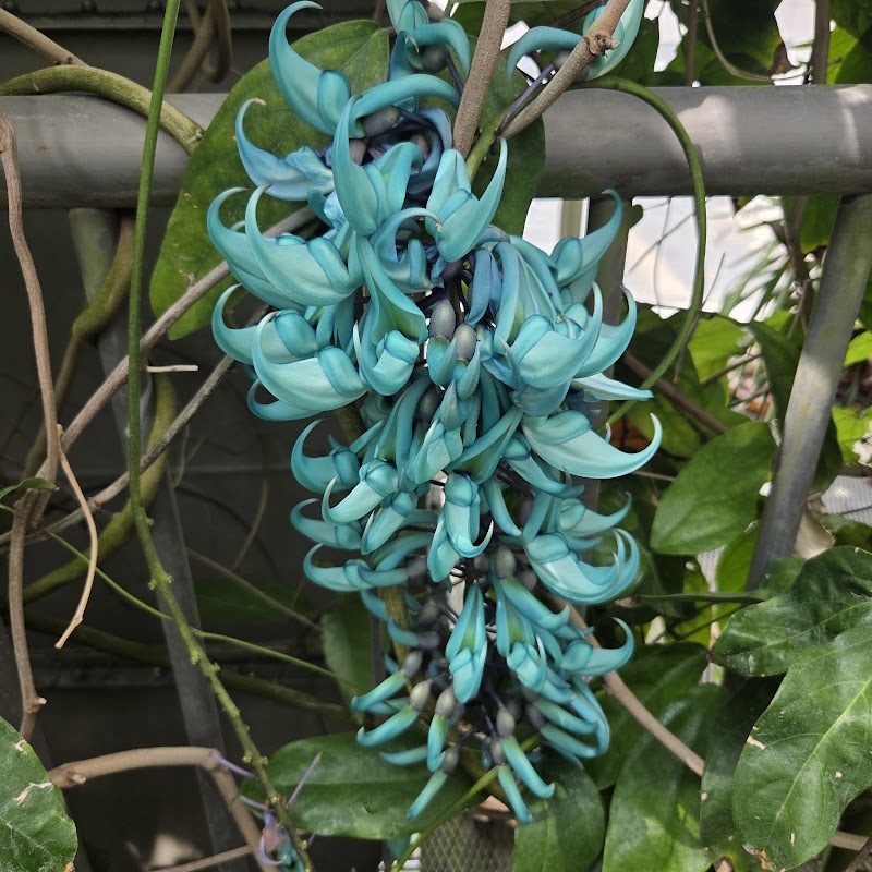国立科学博物館筑波実験植物園