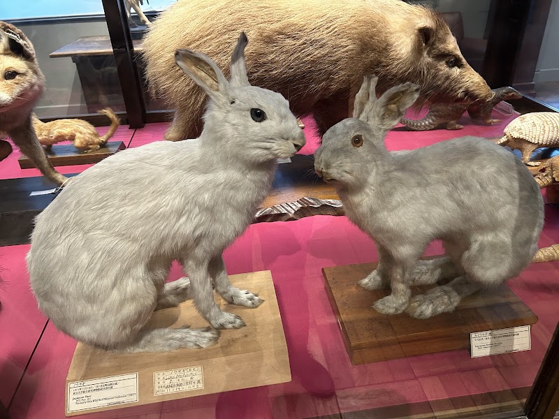 インターメディアテク