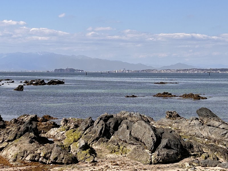 天神島臨海自然教育園