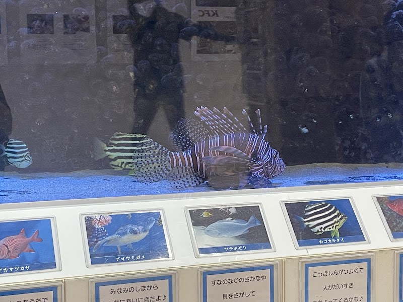 エルム水族館
