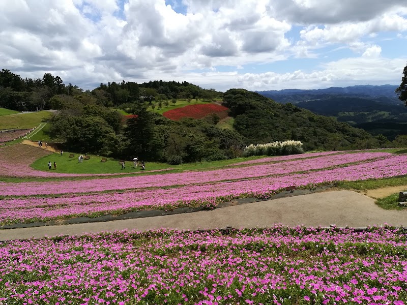 ふれあい牧場 の写真