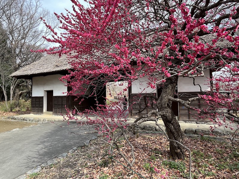 府中市郷土の森博物館