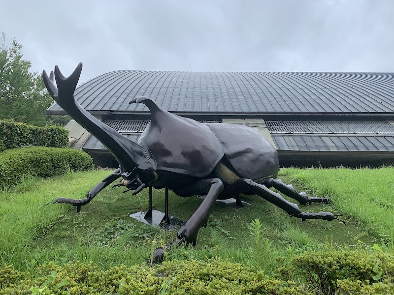 群馬県立自然史博物館