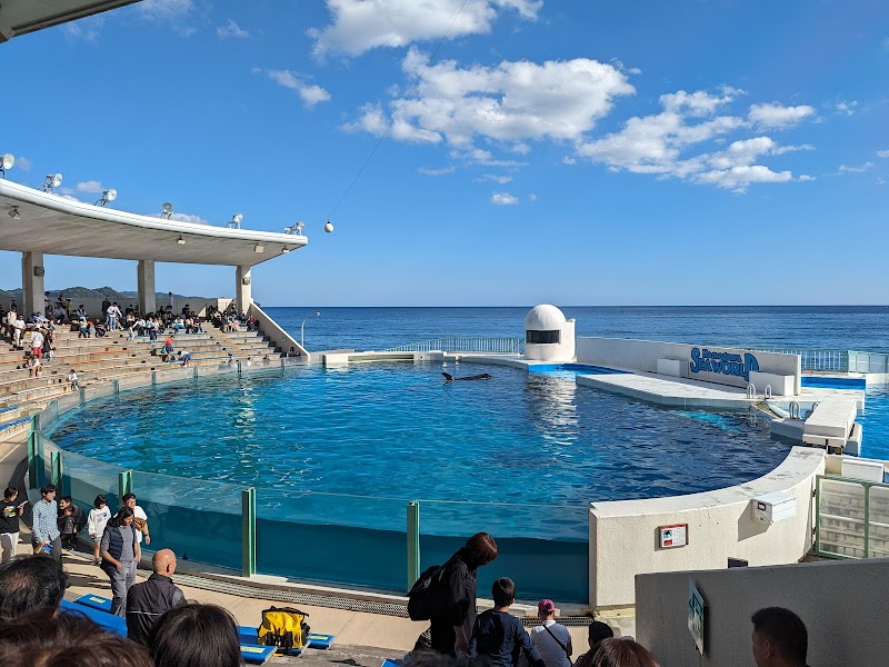 鴨川シーワールド