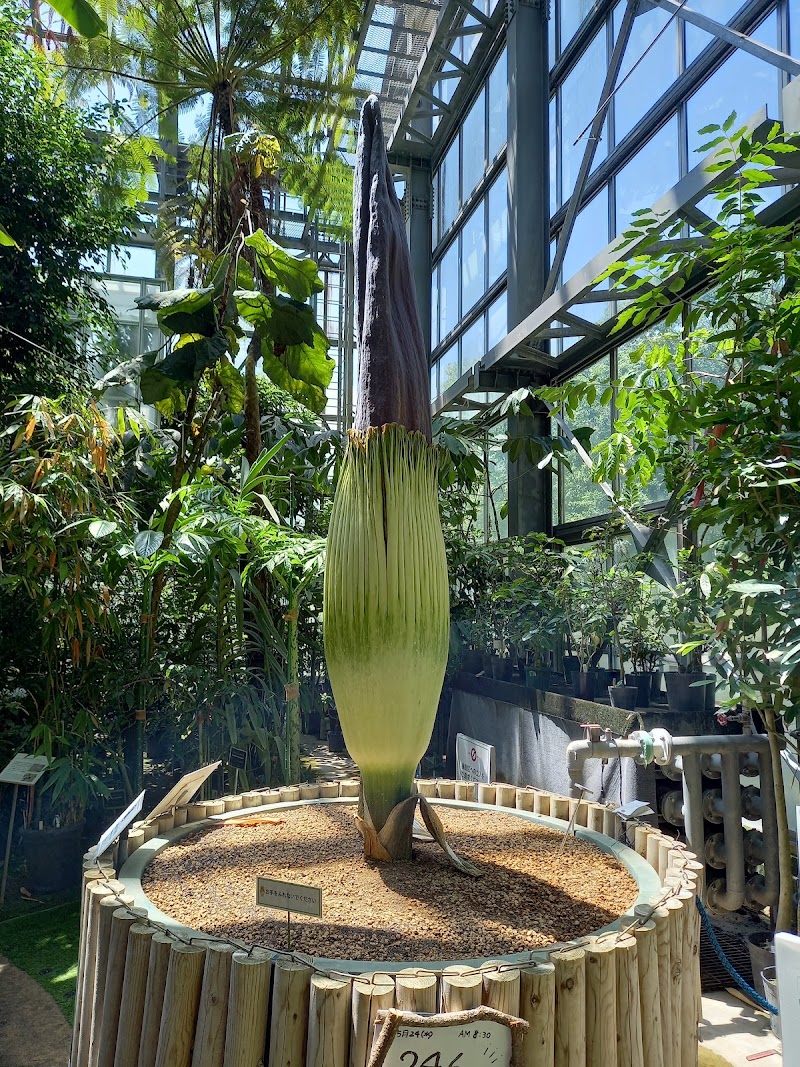 国立科学博物館筑波実験植物園