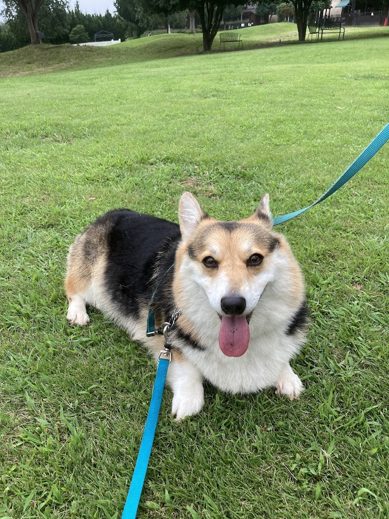 世界の名犬牧場