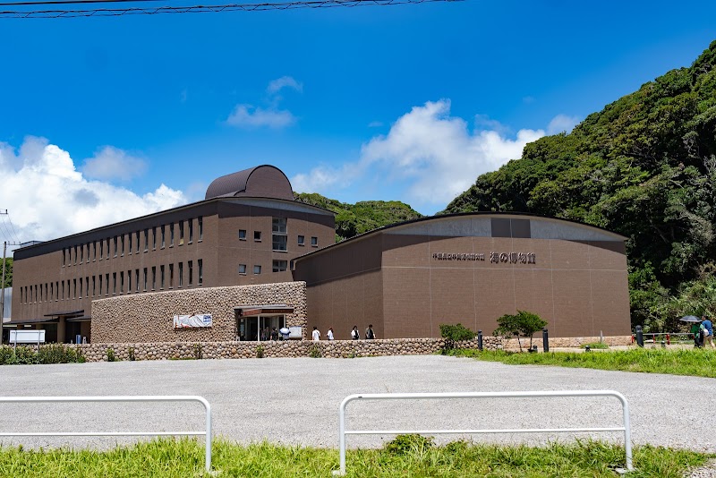 千葉県立中央博物館分館 海の博物館