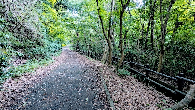 横浜自然観察の森