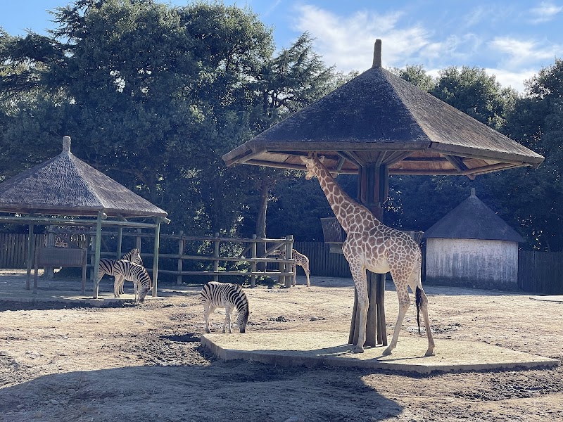 東武動物公園