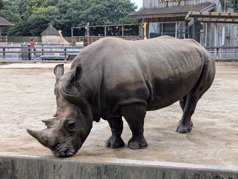 東武動物公園 の写真
