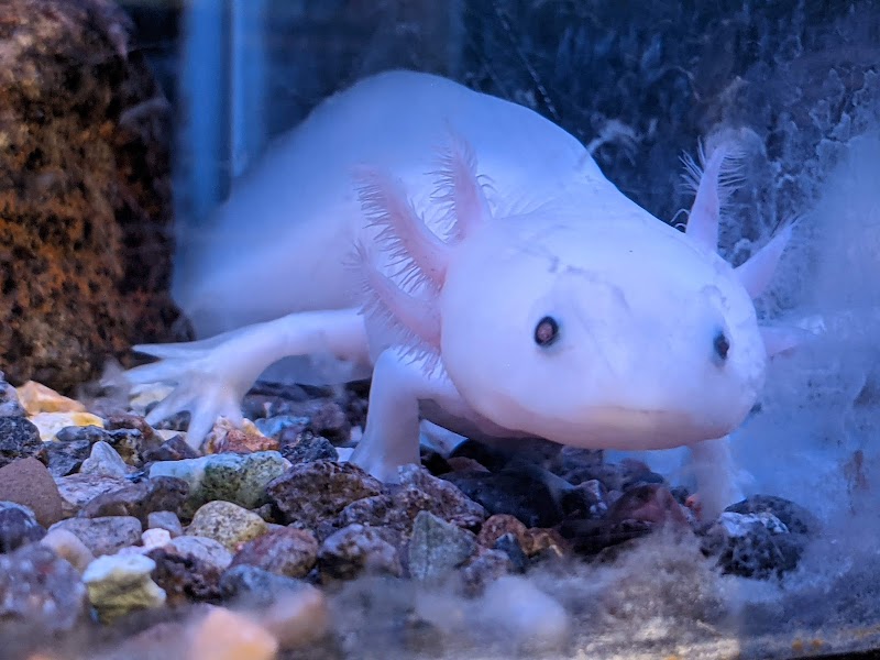 かすみがうら市 水族館