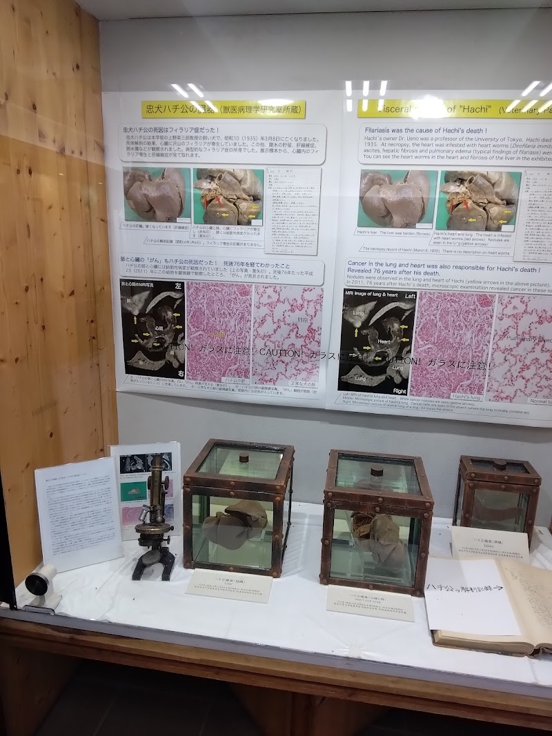 東京大学農学資料館
