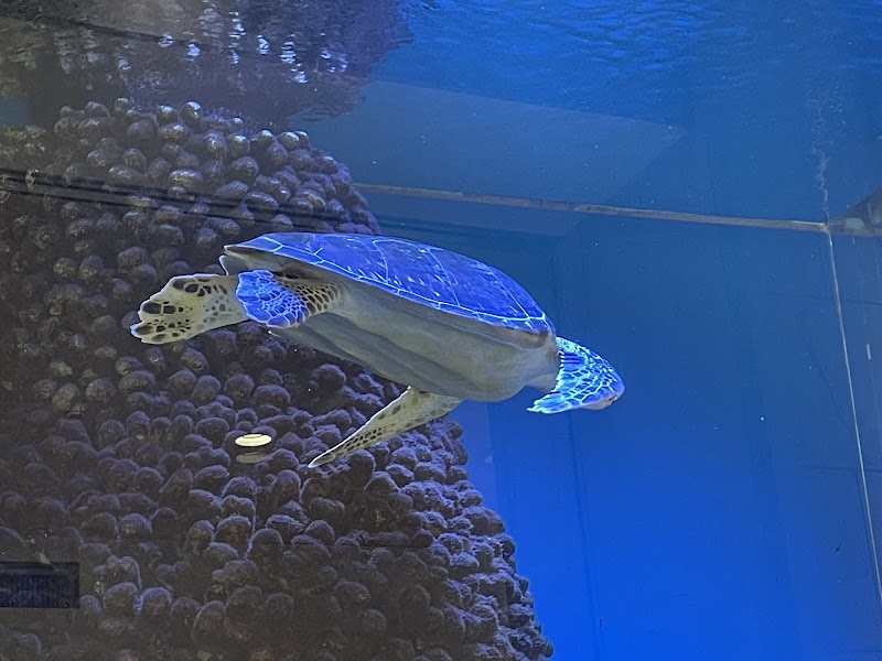 エルム水族館
