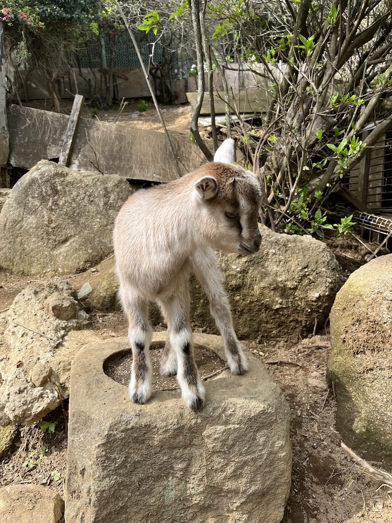 東筑波ユートピア