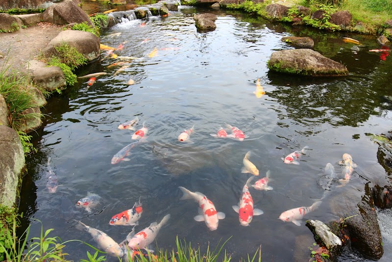 さいたま水族館