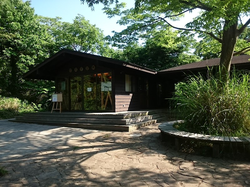 横浜自然観察の森
