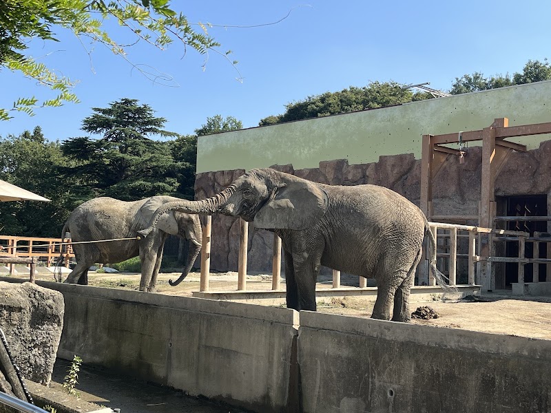 東武動物公園