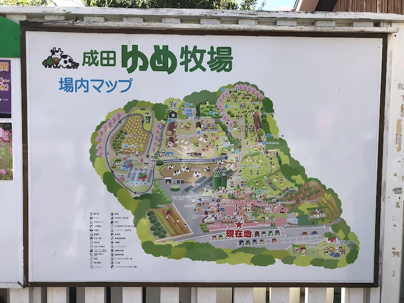 成田ゆめ牧場