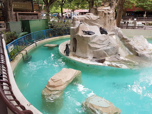 千葉市動物公園