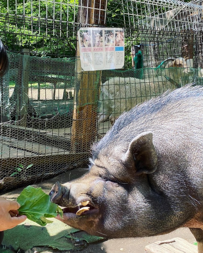 庚申山ミニ動物園